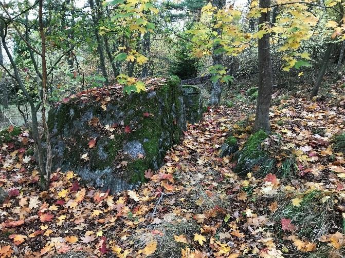 De olika marktyperna inom det nuvarande planområdet illustreras i figur 3 4