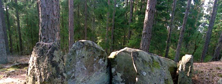 de utgått från de största megalitgravarna.