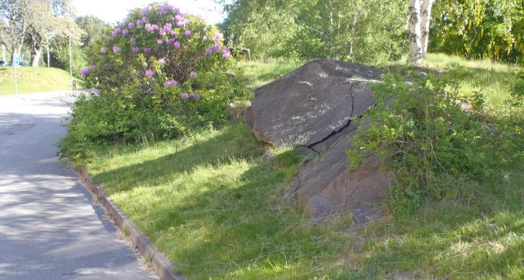 6.2.5 Område 5 Område 5 utgör den centrala delen av planområdet, vilket är uppe på höjden och inom skolans område (se Figur 2). I mitten av skolans gård återfinns en liten och låg bergslänt.