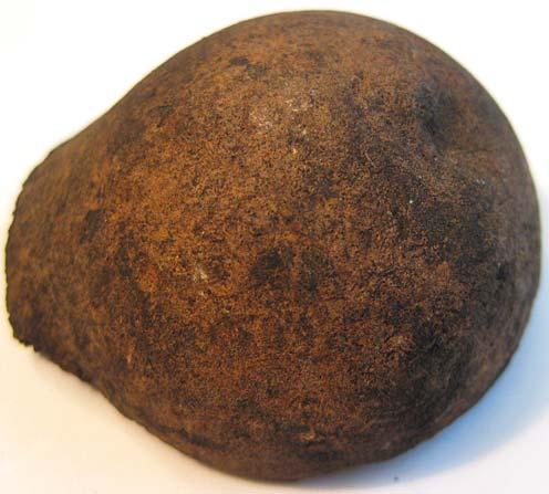 var möjliga att studera patologiska förändringar på, vilket gör att bilden kan förändras då en mer omfattande analys utförs. Fig. 8.