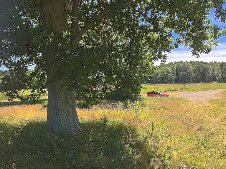 2. Hagmarksrest med grova ekar Preliminär naturvärdesklass: Naturvärdesklass 3 påtagligt naturvärde Dominerande naturtyp: Skog och träd Biotoper/värdeelement: Solitära ekar Natura 2000-naturtyp: