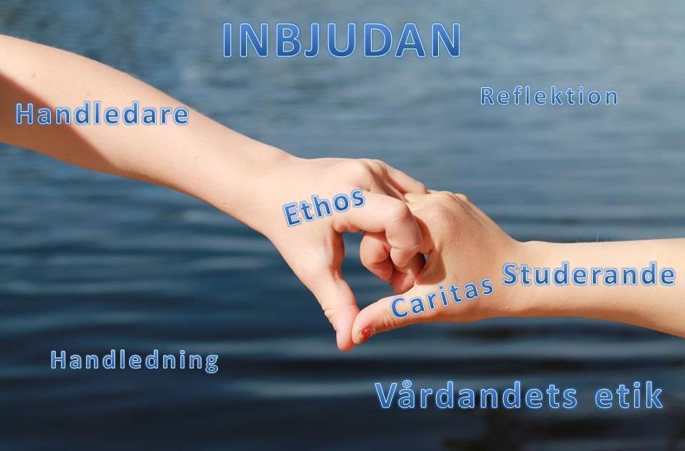 10 Figur 1. Sammanfattning av det teoretiska perspektivet och centrala begrepp I figur 1 sammanfattas det teoretiska perspektivet och centrala begrepp.