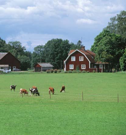 Överenskommelse om ersättning Väghållarens personal kommer att kontakta var och en av markägarna och andra som har någon rättighet (nyttjanderättshavare, servitut eller någon annan särskild rättighet