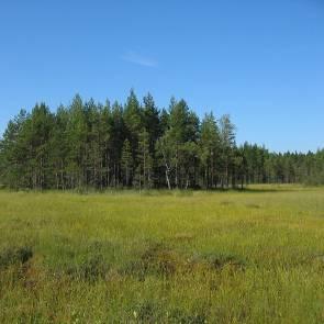 1009391 Krokmossen (U10) Kommun Myrregion Totalareal Sala, Surahammar D 183ha Areal land varav myr Areal vatten Areal skogsmark ovan fj.gräns Areal skogsmark ned. fj.gräns varav prod.