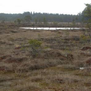 1009394 Kulflyten (U4) Kommun Myrregion Totalareal Fagersta D 126ha Areal land varav myr Areal vatten Areal skogsmark ovan fj.gräns Areal skogsmark ned. fj.gräns varav prod.