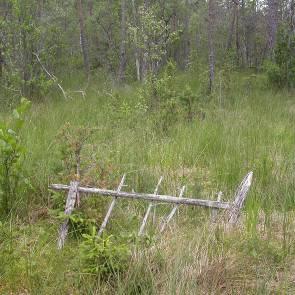 1009835 Orkarmossen Kommun Myrregion Totalareal Norberg D 11ha Areal land varav myr Areal vatten Areal skogsmark ovan fj.gräns Areal skogsmark ned. fj.gräns varav prod.