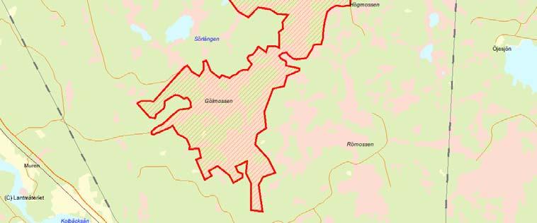 Myrkomplexet är ett av de högst värderade i region D. Källor 1. Myrskyddsplan för Sverige, Naturvårdsverket, 1994. 2.