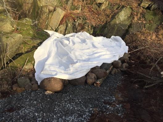 De röjda ytorna bedöms dock av inventerarna vara väl placerade, på hällmarker med ljung.