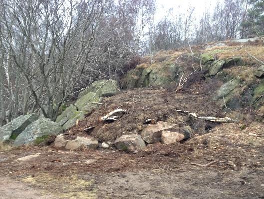 Dessutom påträffades flera huggormar, skogsödlor, kopparödlor och en snok i eller i anslutning till sådana miljöer.