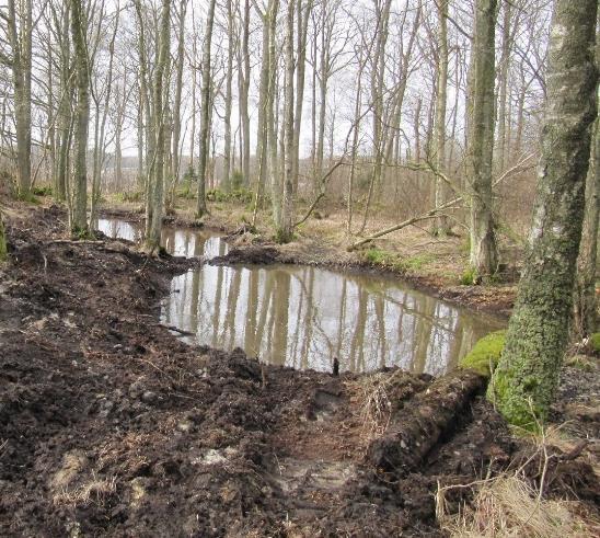 Den större dammen blev ca 400 m2 och den mindre ca 100 m2.