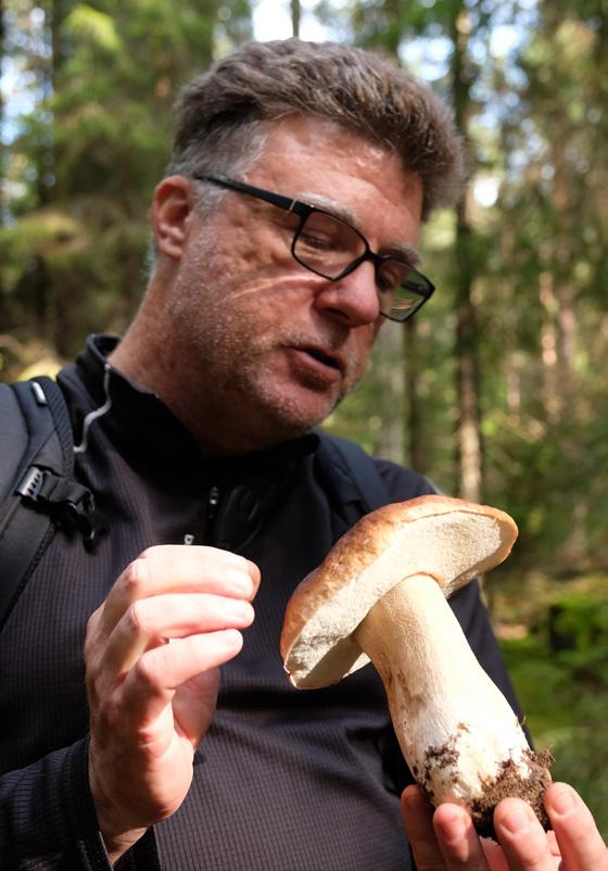 se/naturevenemang och facebook Natur och friluftsliv i Södertälje när det närmar sig. Ta med svampkorg, kniv och fika.