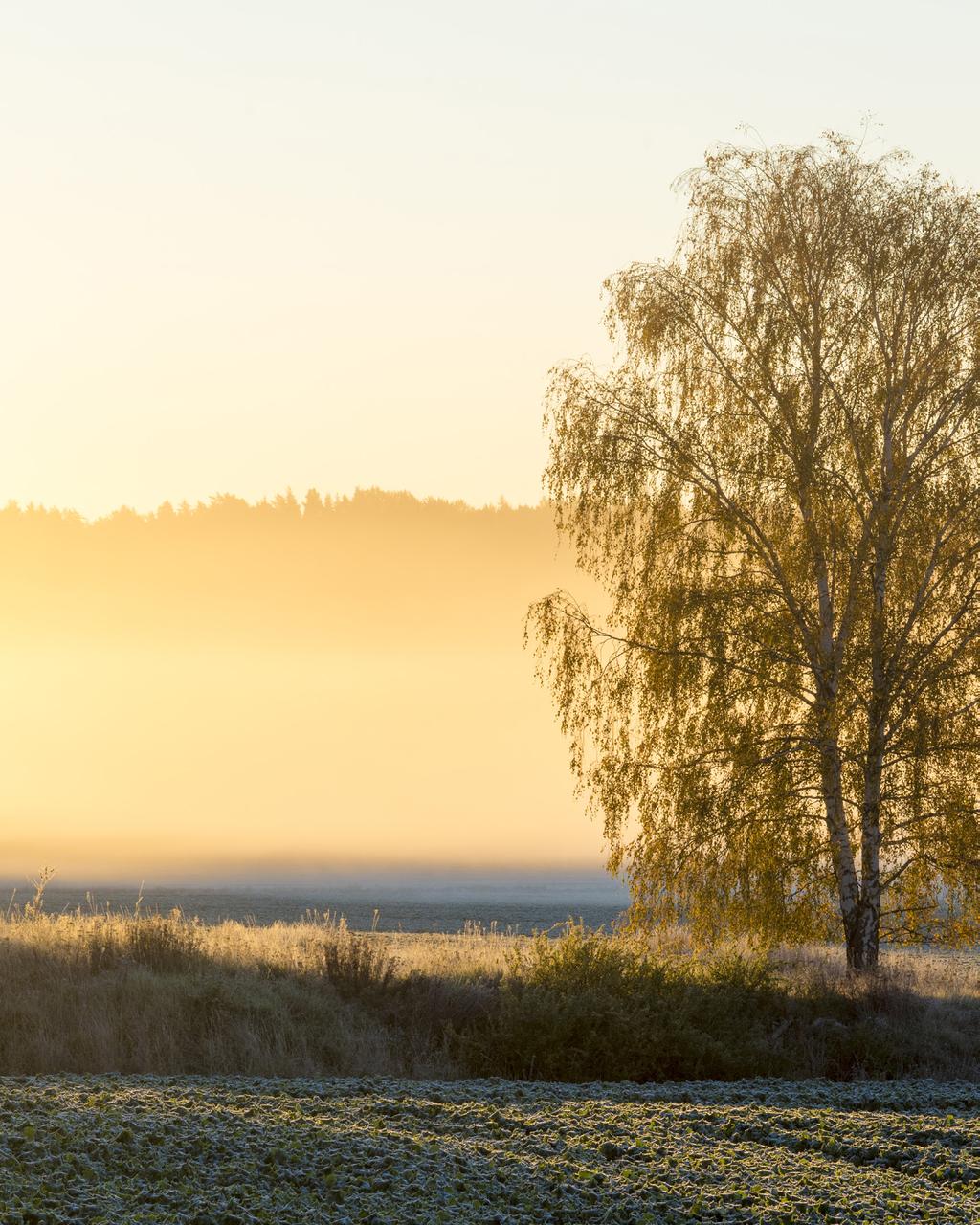 Det här är Naturcentrum på Södertälje kommun: Vi jobbar långsiktigt med att värna, vårda och skydda värdefull natur. Vi vill visa upp Södertäljes natur och skapa fina naturupplevelser.