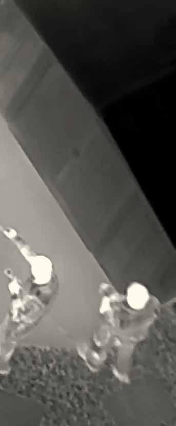 FLIR [FLEER] SUBSTANTIV 1.