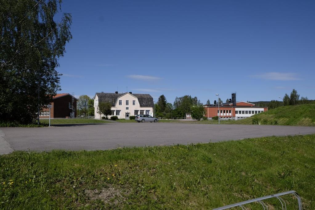 2 Delområde B Delområdet består av ett bevuxet kvävepåverkat grönområde. Dominerande vegetation så som kirskål, brännässlor, humleblomster, al, lön, salix mm.