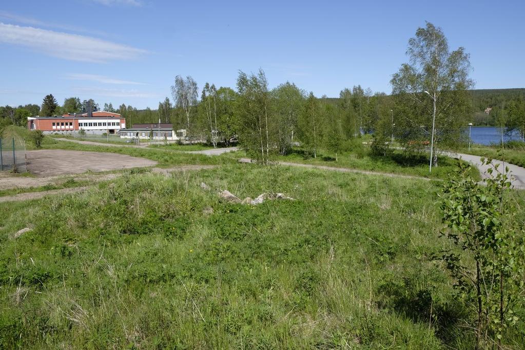 Lupiner samt trädgårdsväxter kompletterar befintlig gräsvegetation. Foto över delområde C med upplag av gräsbevuxna schaktmassor i förgrunden. 4.