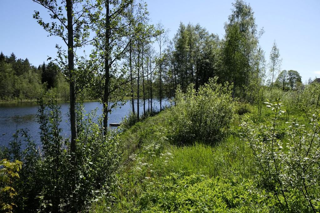 geografiska områden av positiv betydelse för den biologiska mångfalden