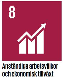 12 (13) Internationella hållbarhetsmålen Bidrar planen till att uppfylla målet?