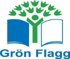Grön Flagg programmets kriterier för nivån Hållbar Grön Flagg Kriterierna för nivån Hållbar Grön Flagg utgör grunden för verksamheten på Hållbar nivå. Flaggan beviljas på basen av kriterierna.