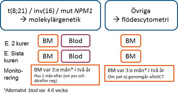 Figur 7. Rekommenderade tidpunkter för MRD-analys. Prov för MRD-analys i benmärgen (BM) tas från det först aspirerade materialet för att undvika blodtillblandning.