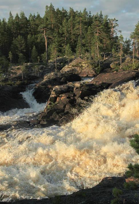 Arbetet bidrog kraftigt till att denna älv med den praktfulla Hylströmmen (se bild) undantogs från vattenkraftutbyggnad. Samtidigt planerades kraftverk i Edänge i Ljusnan.