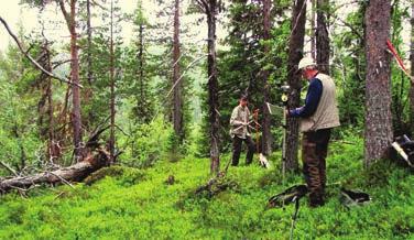 Området ligger i Inventerings läger i Pite lappmark Även i sommar har du möjlighet att vara med och utforska den botaniskt minst kända svenska floraprovinsen.