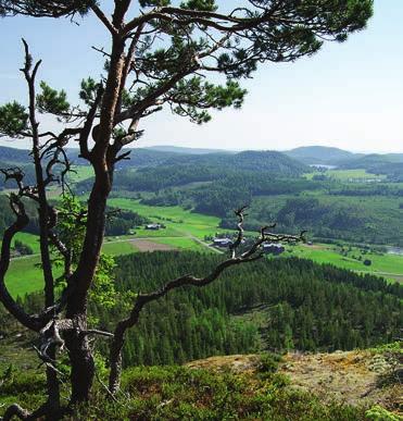 Föreningssidor Svenska Botaniska Föreningen Välkomna till Botanikdagarna i Ångermanland! Alla medlemmar hälsas hjärtligt välkomna till Ångermanland 2 6 juli.