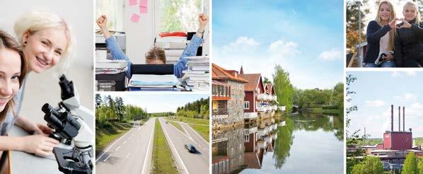 FALUN BORLÄNGE-REGIONEN AB