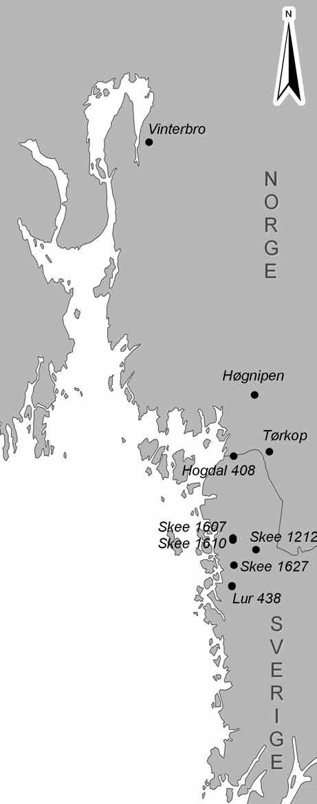 10 Bohusläns museum Rapport 2012:13 8 000-årsperiod, från mesolitikum till vendeltid. Från mellanmesolitikum hittade man där spridda spår, som två trindyxor och sju spånknivar (Loeffler 2008:7).
