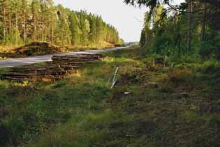 Skee 1212 en mellanmesolitisk jaktstation i norra Bohuslän 11 Boplats Ålder (BP) Undersökt yta (m 2 ) Antal fynd Andel spån Andel mikrospån Mikroliter Bergartsyxor Tørkop 8800-8500 4471 416 194