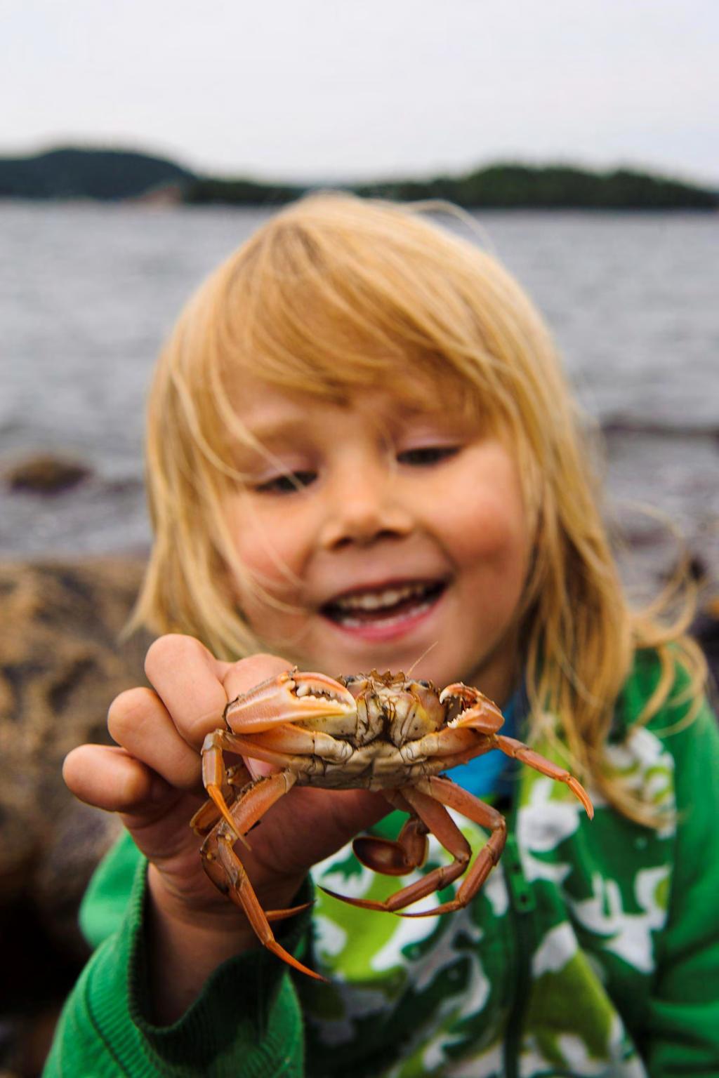 BLÅ ÖVERSIKTSPLAN FÖR NORRA BOHUSLÄN en översiktsplan för