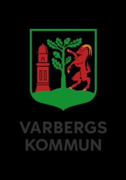 Budget 209 och långtidsplan 2020