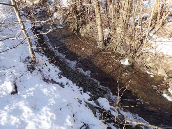 Sträcka 2 Sträckan är på ca 35 m och karakteriseras av strömmande-stråkande vatten med ett bottensubstrat av grus och mindre sten (se figur 2).