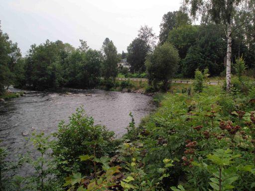 sjön (313) och Norra Bergundasjön (316) hög halt av nickel. Avloppsanläggningar är den vanligaste typen av verksamhet med direkta utsläpp till Mörrumsån.