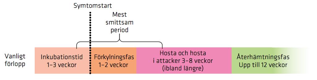 6 forts från föregående sida: Rekommendationer för att förebygga kikhosta Folkhälsomyndigheten har tagit fram nya rekommendationer till hälso- och sjukvården för att stärka åtgärderna mot kikhosta