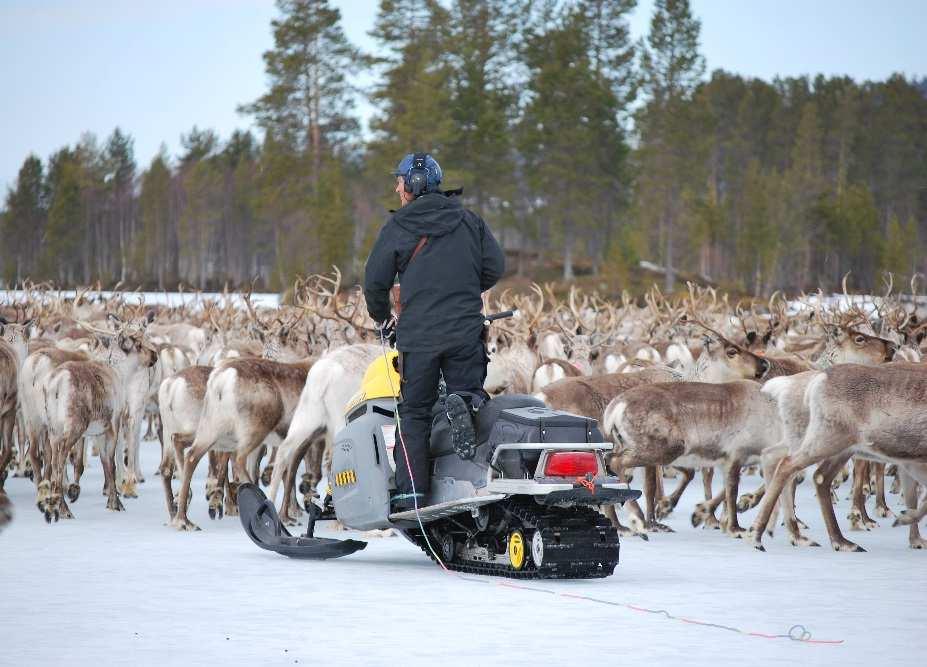 Nästa steg?