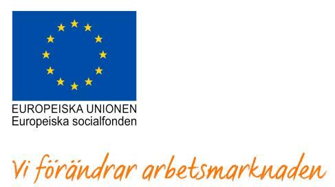 Diarienummer: 2016/00014-28 Motivering: Projektets förändringsteori och uppsatta mål på individ, projekt och organisationsnivå bedöms vara utvärderingsbara.