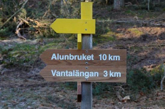 SAMMANFATTNING Med stöd av Leaderbidraget och en överenskommelse med länsstyrelsen i Skåne har Byagillet genomfört en upprustning av den s.k. gula leden, nu omdöpt till Backaleden.