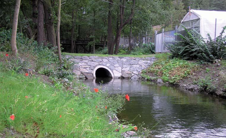 Nedre delen av ravinen Vision Här möter ravinen Årstaviken i en liten lummig vik. Möjligheter att blicka in i ravinen finns från gångbron, från Årstaviken och i viss mån från gångvägen intill.