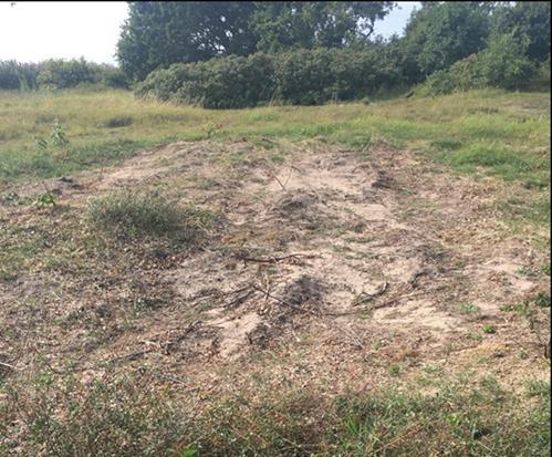 Skötselområde 1 Naturvårdsbränning Den naturvårdsbränning som planerades inom skötselområde 1 i våras men som fick skjutas på framtiden på grund av väderleksförhållandena planeras nu att genomföras