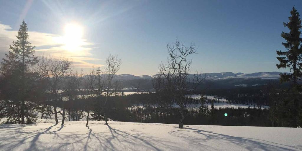 Foto: Pär Häggström Frostviksfjällen, för alla som älskar vinter och snö.