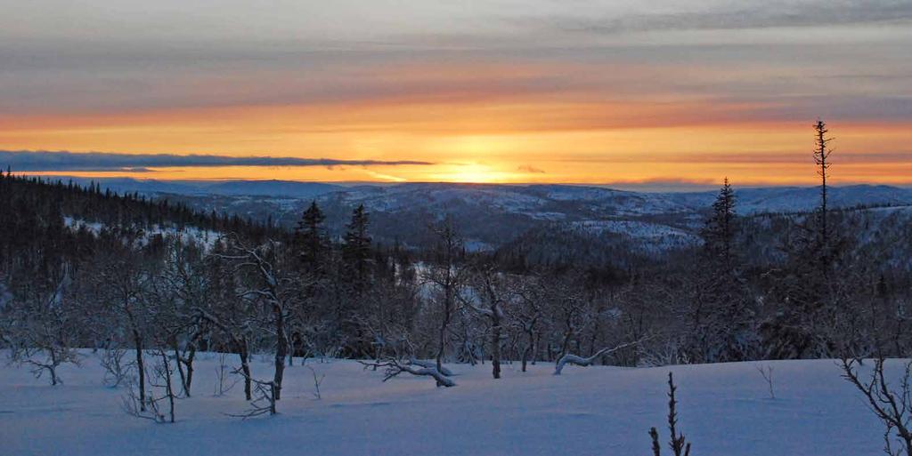 I Frostviken samarbetar markägarna, näringsidkarna, lokalbefolkningen,