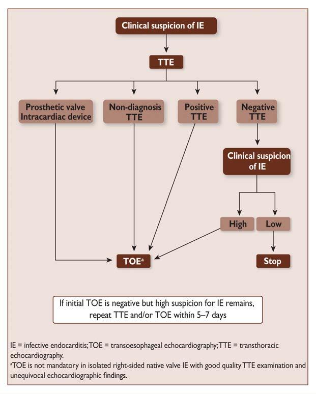 ESC Guidelines IE.