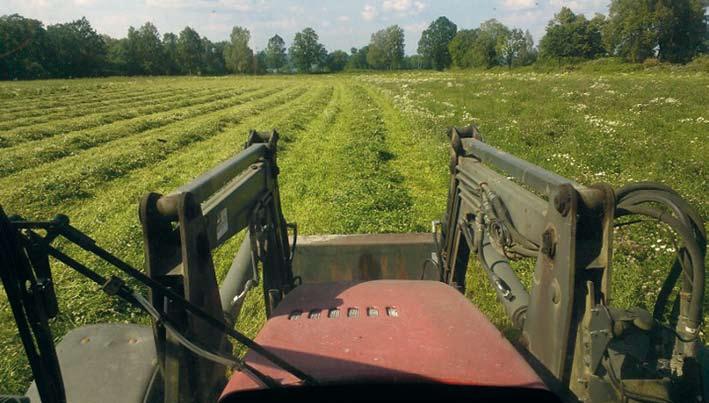 Slåttervallar häst Grovfoder (hö eller ensilage) är basen i hästens foder. Ett bra grovfoder är smakligt, håller god hygienisk kvalitet och täcker stora delar av hästens näringsbehov.