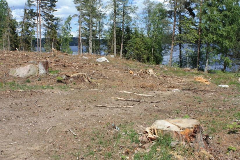 Sammanfattning av inventering gjord på Dalbylandet 2015-05-27 Gjord av Anna Sandhammar på uppdrag av Ydre kommun Området är ett gammalt jordbrukslandskap som till stor del håller på att slya igen.