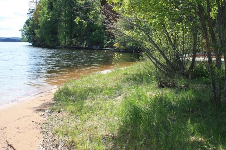 Igenväxning och skräp 3. Bad- och båtplats med liten sandstrand.