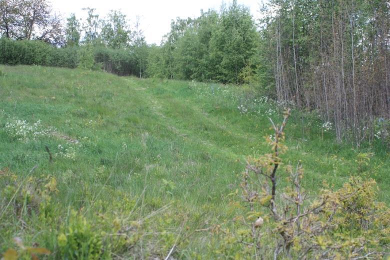 De är viktiga för den biologiska mångfalden i området och utgör ett intressant inslag för de boende. Intill bokarna ligger även en fallen bok, och också denna döda bokved bör få vara kvar.
