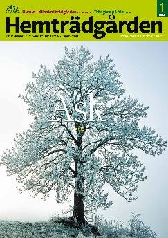 Totalt blev det 408 sidor varav 30,25 sidor är annonser, knappt 12 sidor radannonser och 1 bilaga (jämfört med 2015: 33,4 sidor annonser, knappt 12 sidor radannonser och 3 bilagor).