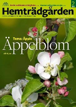 I tidningens idéråd har Lise-Lotte Björkman och Ann-Catrin Thor (trots tjänstledighet) ingått. Idérådet har även biståtts av Inger Ekrem.