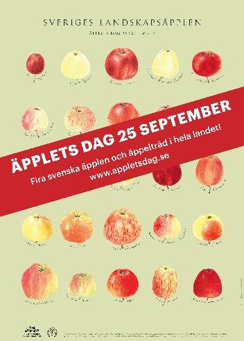Ett andra nätverksmöte med information, föredrag av Henrik Morin och workshop hölls i februari 2016, då flera intressenter och kunniga på området bjudits in för att utbyta tankar och idéer.