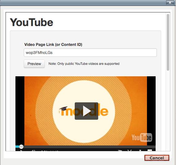 Bild 1-22 YouTube Preview 2 Formuläret utökas och du kan skriva beskrivning och taggar (nyckelord) för senare